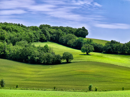 Pastoral Countryside II Poster Print - Colby Chester