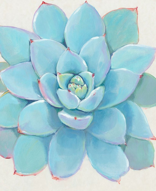 Pastel Succulent I Poster Print - Tim OToole
