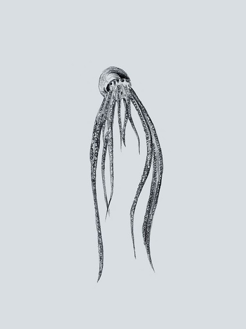 Marine Life I Poster Print - Melissa Wang