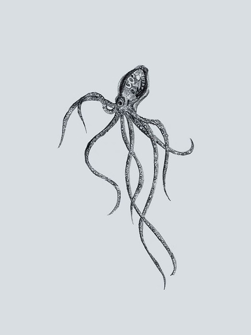 Marine Life IV Poster Print - Melissa Wang