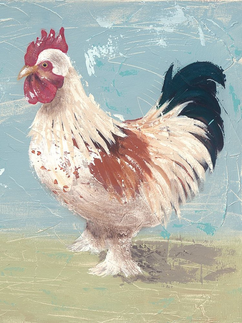 Farm Life-Chickens II Poster Print - Jade Reynolds