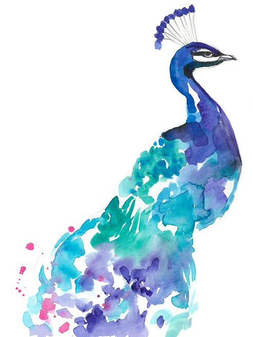 Peacock Splash I Poster Print - Jennifer Goldberger