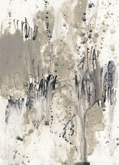 Custom Paynes Splash II Poster Print - Jennifer Goldberger