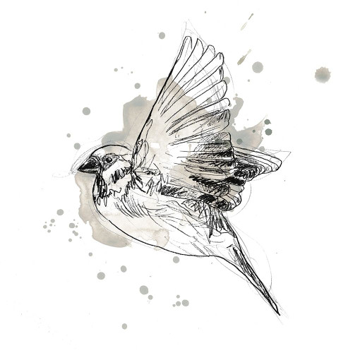 Gestural Bird Study I Poster Print - June Erica Vess