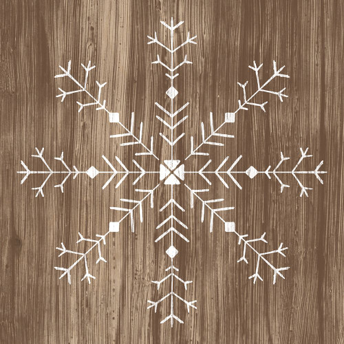 Barnwood Wonderland I Poster Print - June Erica Vess