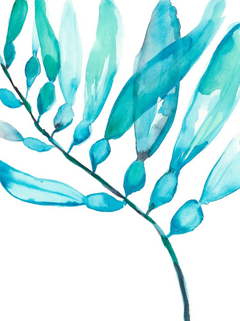 Watercolor Kelp II Poster Print - Jennifer Goldberger