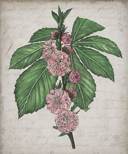 Floral Memory II Poster Print - Melissa Wang