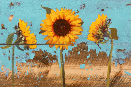 Sunflowers on Wood IV Poster Print - Sandra Iafrate
