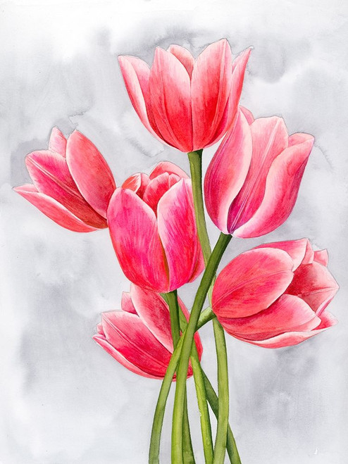 Tulip Tangle I Poster Print - Grace Popp