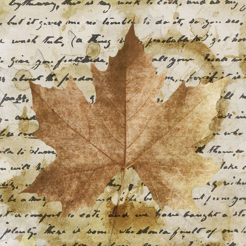 Earth Leaf I Poster Print - Alonzo Saunders