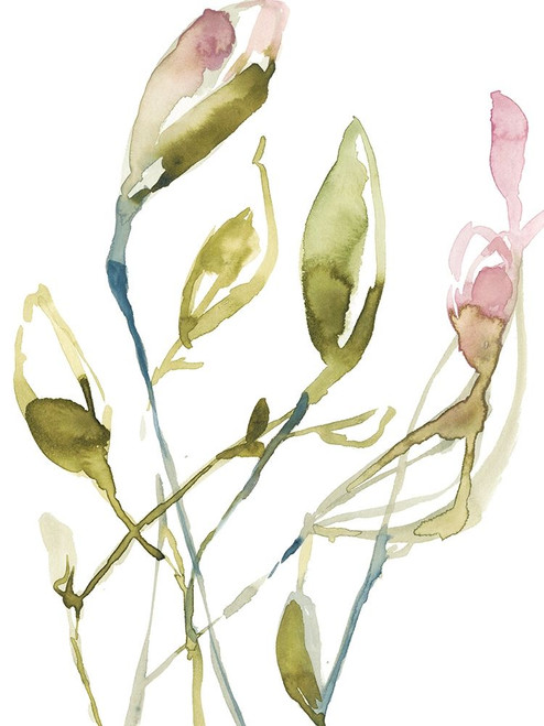 Blooming Stems I Poster Print - Jennifer Goldberger
