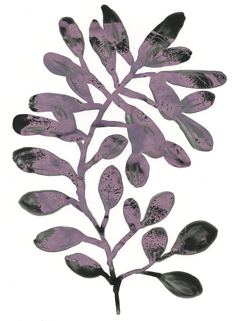 Foliage Fossil VIII Poster Print - June Erica Vess