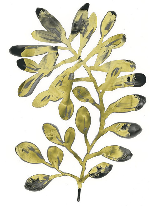 Foliage Fossil II Poster Print - June Erica Vess