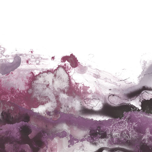 Orchid Wave III Poster Print - June Erica Vess