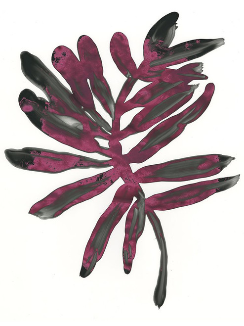 Foliage Fossil III Poster Print - June Erica Vess