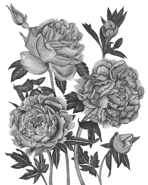 Flowers in Grey VI Poster Print - Melissa Wang