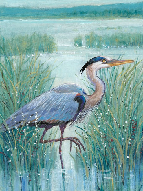 Wetland Heron I Poster Print - Tim OToole