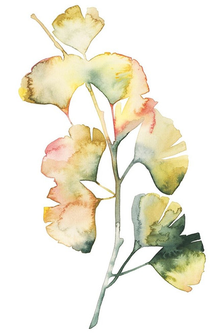 Maidenhair Branch I Poster Print - Grace Popp