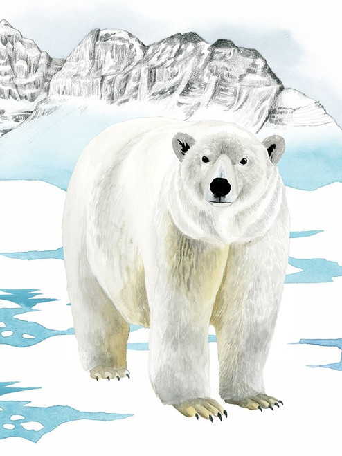Arctic Animal II Poster Print - Grace Popp