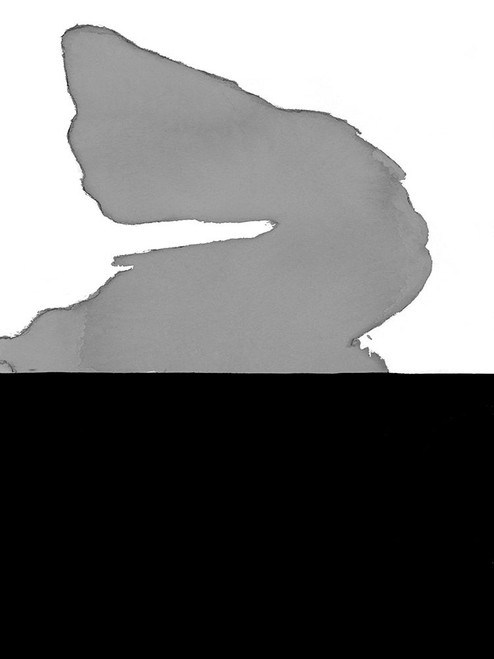 Cumulus I Poster Print - Rob Delamater