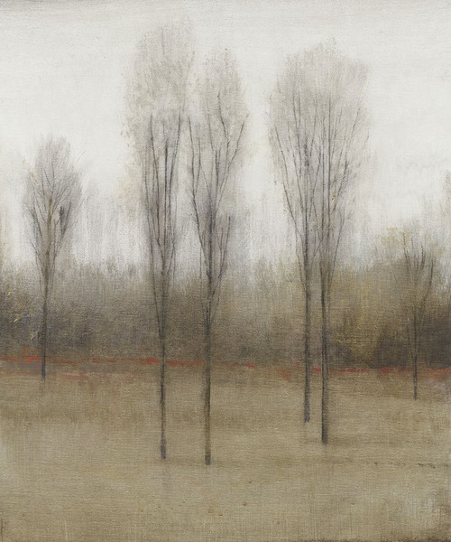 Last Day of Fall I Poster Print - Tim OToole