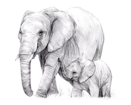 New Beginnings I Poster Print - Melissa Wang