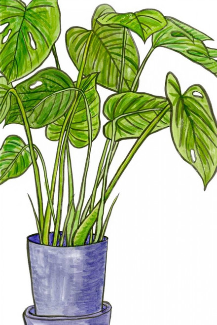 Potted Jungle III Poster Print - Melissa Wang