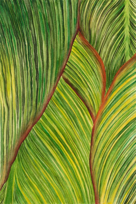 Tropical Crop II Poster Print - Melissa Wang