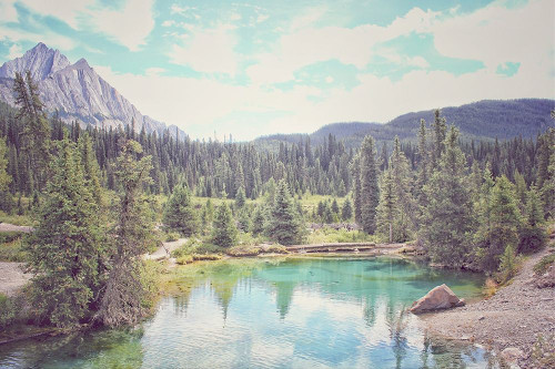 Banff IV Poster Print - Jenna Guthrie