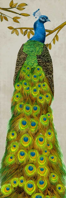 Vintage Peacock I Poster Print - Melissa Wang