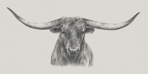 Longhorn Bull Poster Print - Ethan Harper