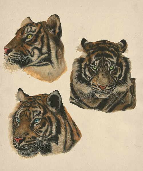 Wild World II Poster Print - Melissa Wang