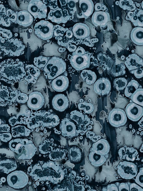 Affix II Poster Print - Jenna Guthrie