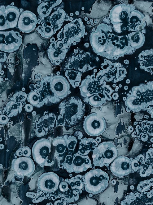 Affix IV Poster Print - Jenna Guthrie