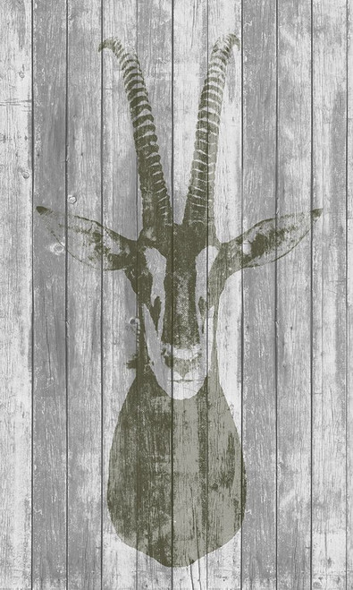Rustic Bust I Poster Print - Jennifer Goldberger