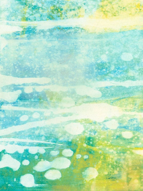 Lacuna IV Poster Print - Sue Jachimiec