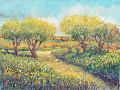 Garden Path II Poster Print - Tim OToole