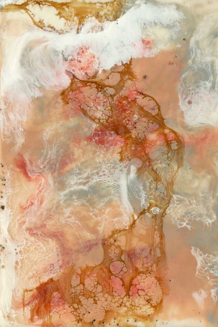 Coral Lace I Poster Print - Jennifer Goldberger