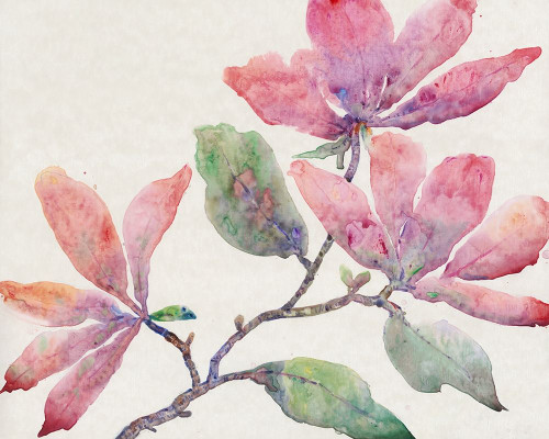 Flowering Branch I Poster Print - Tim OToole