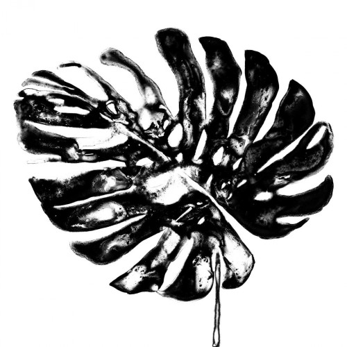 Monochrome Tropic V Poster Print - June Erica Vess