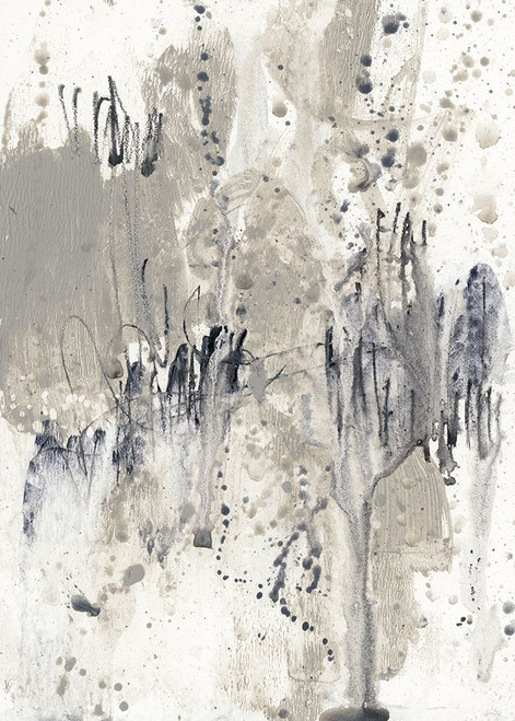 Paynes Splash II Poster Print - Jennifer Goldberger