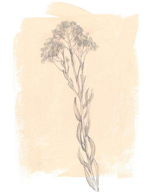 Branch on Blush I Poster Print - Jennifer Goldberger