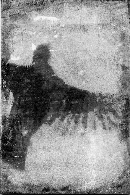 B and W Flight VIII Poster Print - Ingrid Blixt