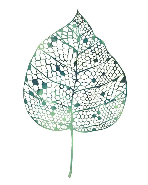 Veiled Leaf II Poster Print - Grace Popp