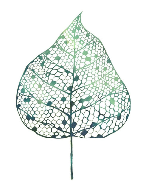 Veiled Leaf I Poster Print - Grace Popp