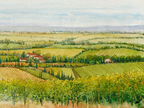 Wine Country View I Poster Print - Tim OToole