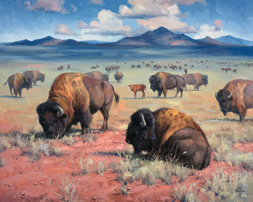 Home on the Range Poster Print - Jack Sorenson