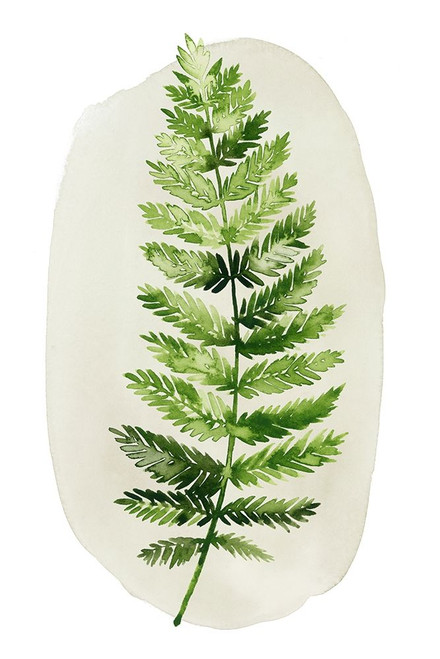 Spot Fern II Poster Print - Grace Popp