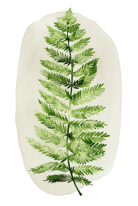 Spot Fern I Poster Print - Grace Popp