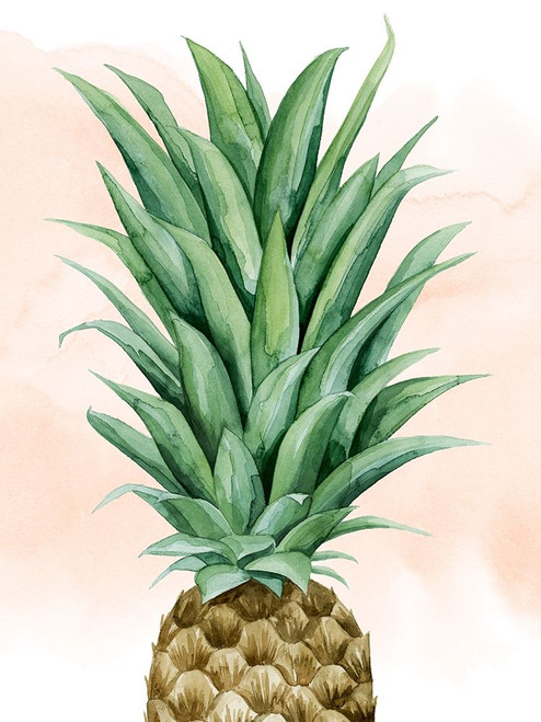 Pineapple on Coral II Poster Print - Grace Popp